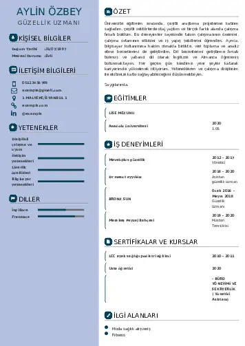 cv indir